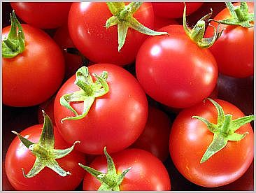 Tomaten